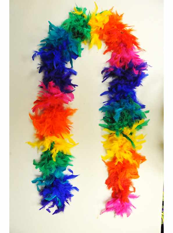 Feather Boas Rainbow 6ft 1ct - Litin's Party Value