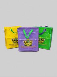 mardi gras zipper bags